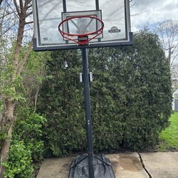 Lifetime basketball hoop