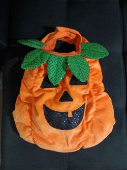 Pumpkin dog costume