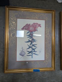 Botanical Lily Framed Art Print in Gold