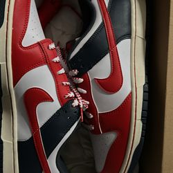 Nike Dunk Retro Lows