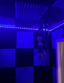 Professional Recording Vocal Booth