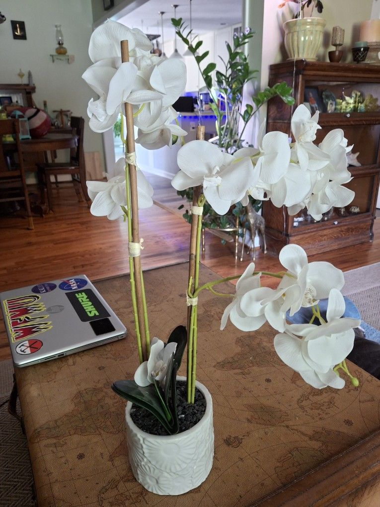 26x5 Artificial Orchid