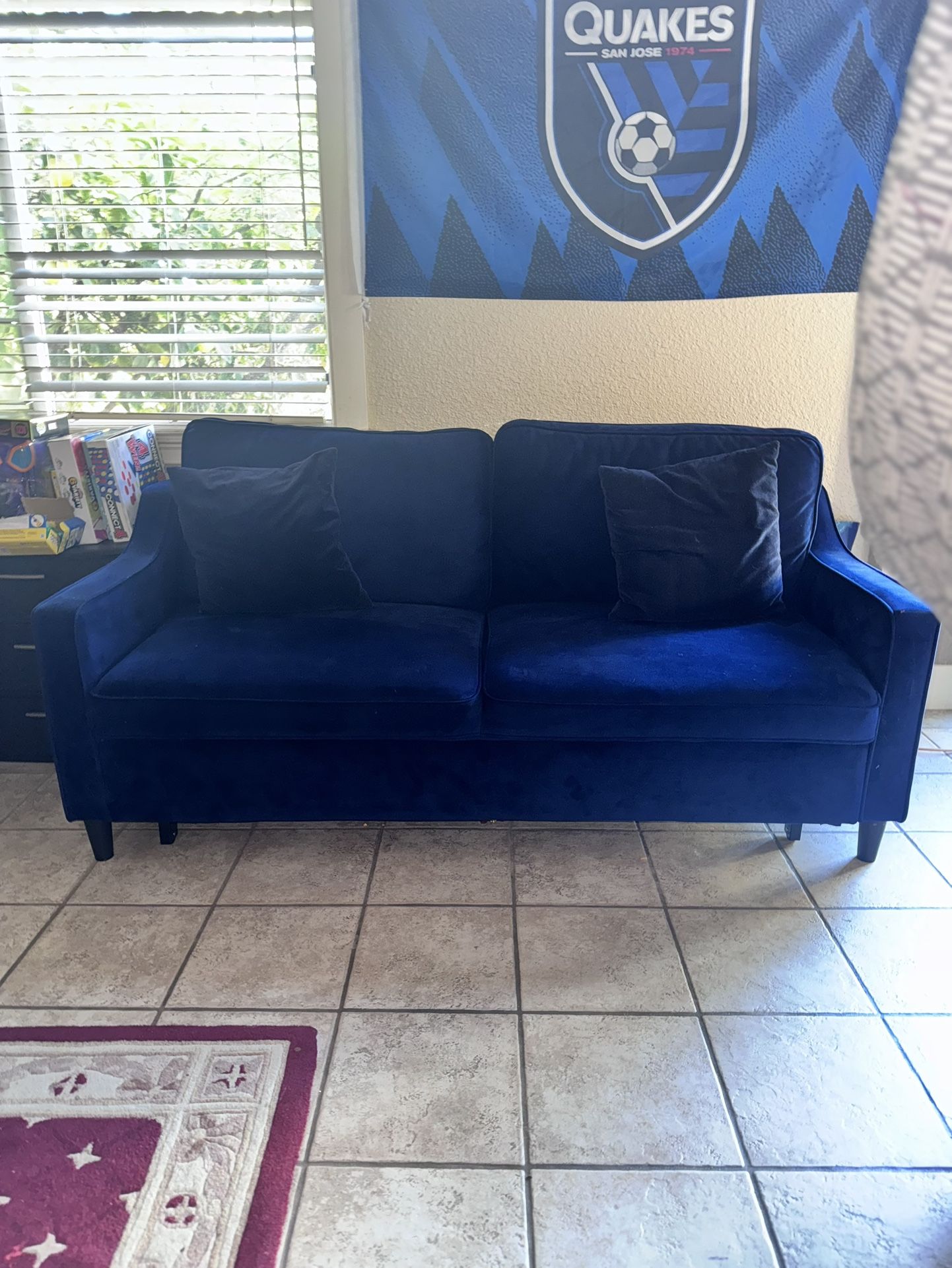 Pull Out Couch 