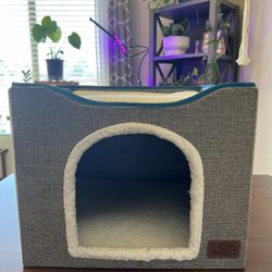 Cat Cave 