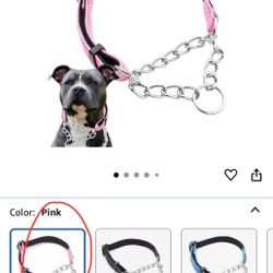 Martingale dog Collar 