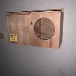 gouldian finch nest 