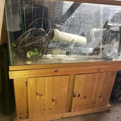 90 Gallon tank