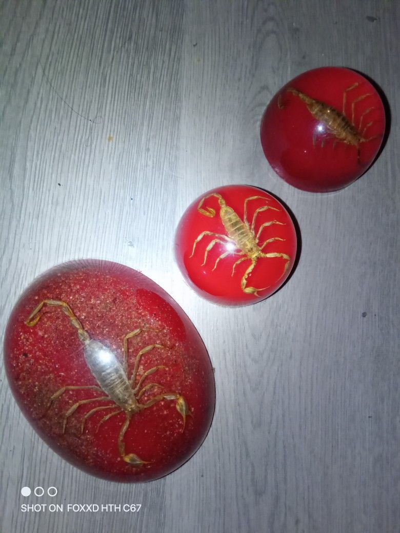 Vintage Scorpion Paperweight In Red Gold Flecks Lucite Globe