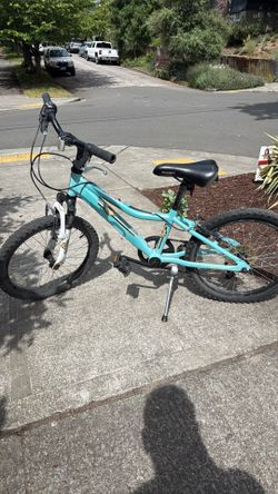 20’ REI kids bike