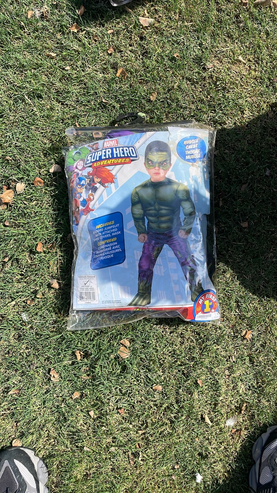 Hulk Halloween Costume