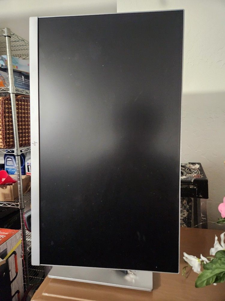 HP Monitor E243