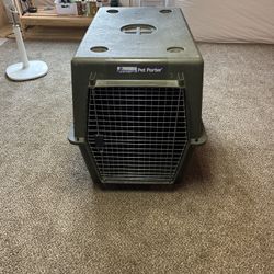 Kennel 