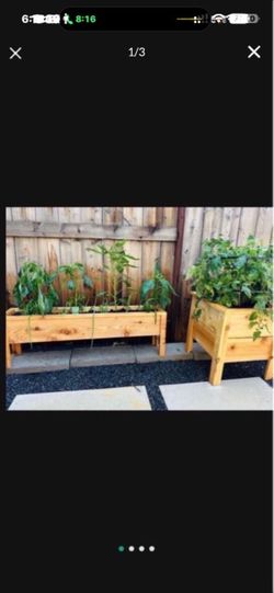 New cedar planters