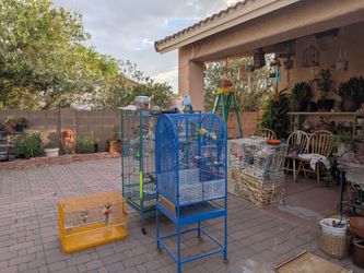 Bird cages