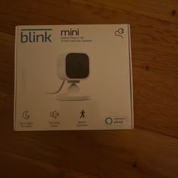 Blink Mini Plug In HD Camera 