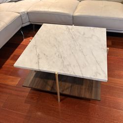 Marble Coffee Table