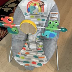 Baby Bouncer 