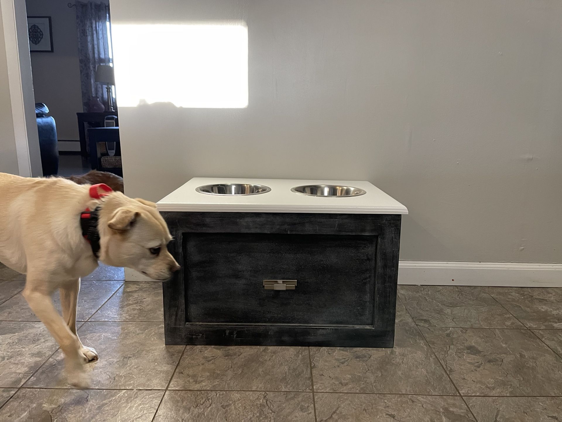 Dog Feeding Station with Storage drawer 