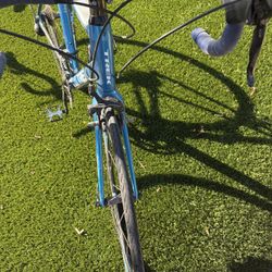 Trek Road Bike