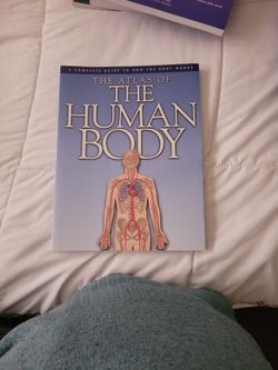 Human Body Book