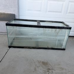 Fish tank 75 Gallon