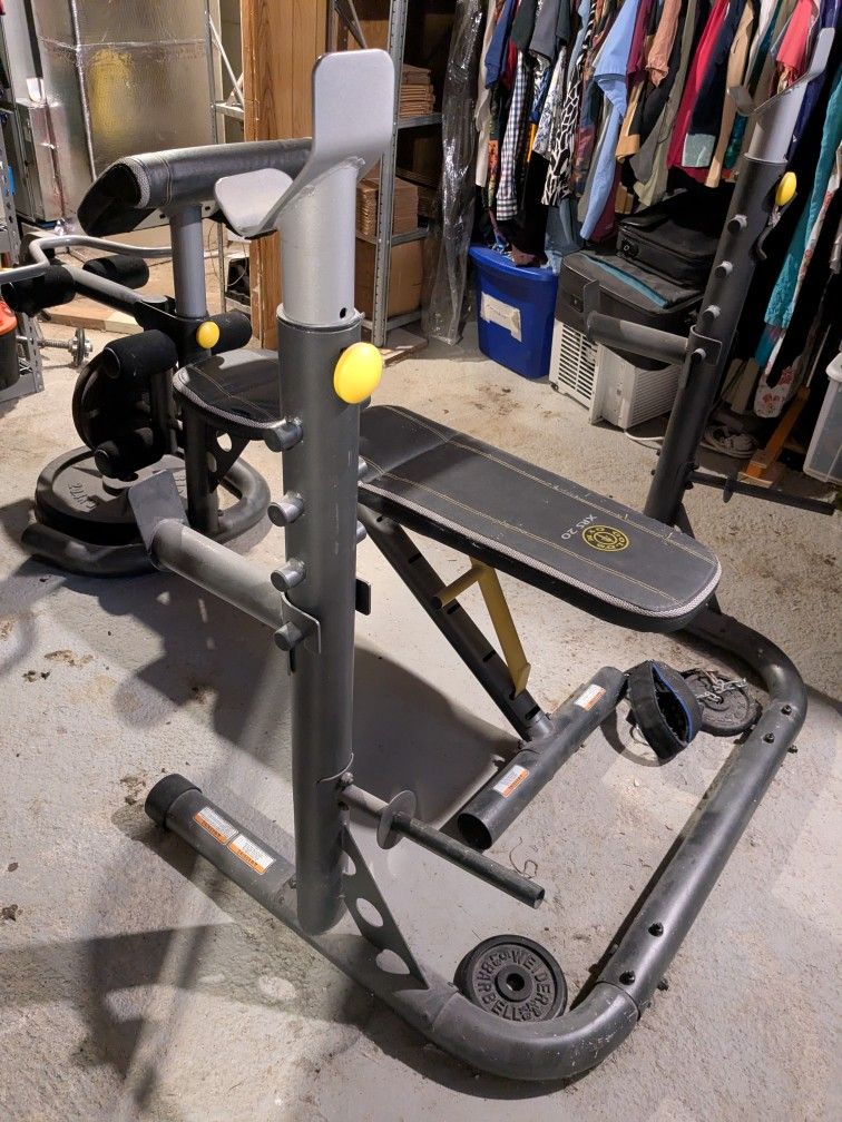 Free! Olympic Weight Bench With Leg Curl And Preacher Curl 