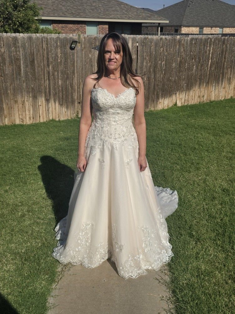 Wedding Dress & Vail