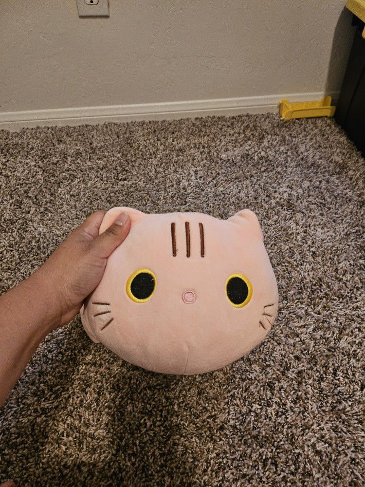 Small Pink Cat Plush