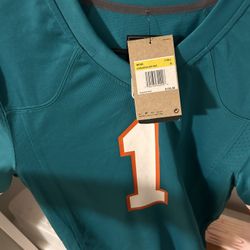 Miami Dolphins