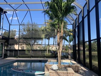 Pool Screen