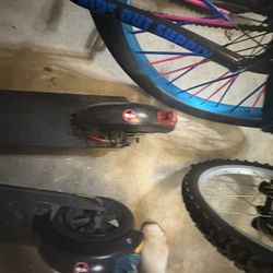 Gotrax Electric Scooter