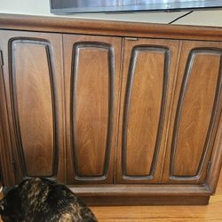 Midcentury Modern Cat Box Cabinet