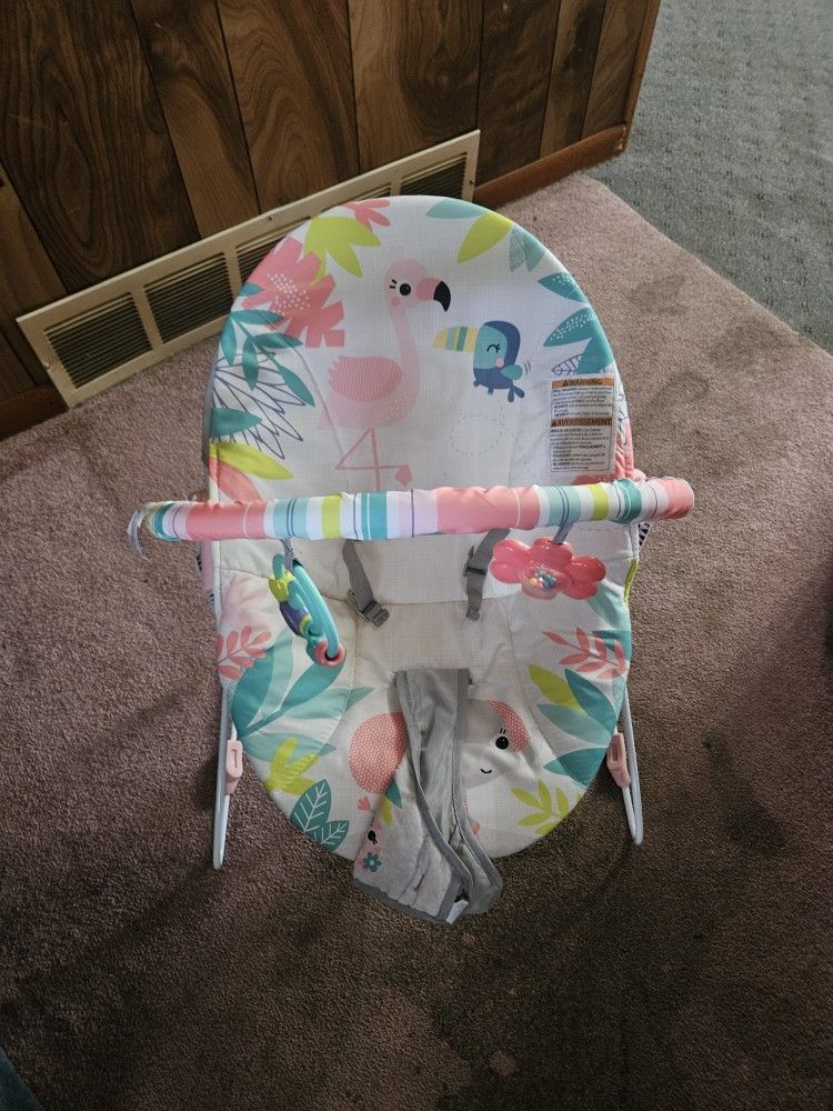 Baby Bouncer