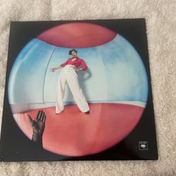 Harry Styles Record