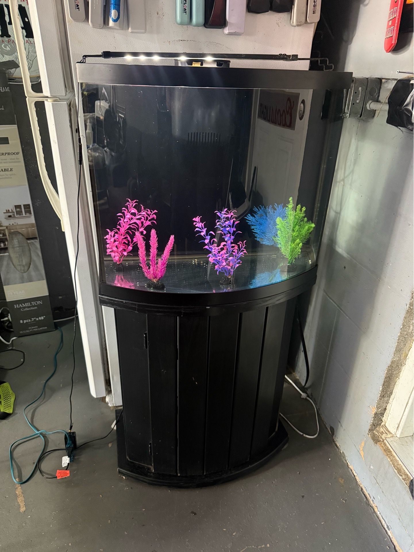 Bowfront aquarium