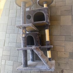 Cat House 