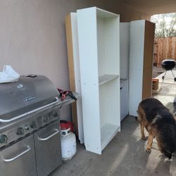 Ikea Furniture Take All