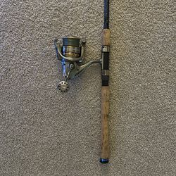 Spinning rod