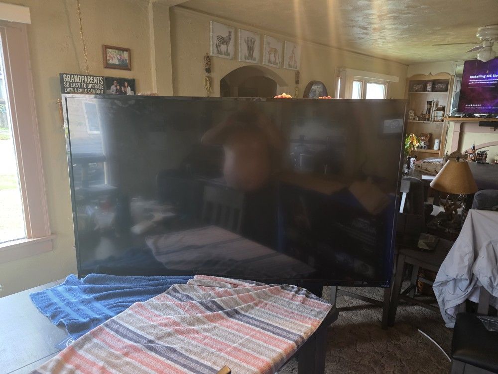 65 Inch Vizio Smart Tv