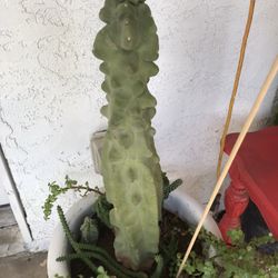 Totem Potem  With 2 Small Babies $60