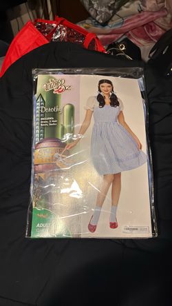 Dorothy Costume