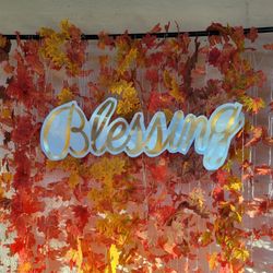 Birthday, Baby Shower, Anniversary, Wedding, Gender Reveal, Halloween, Christmas, Thanksgiving, Event, Party, Balloons, Garland 