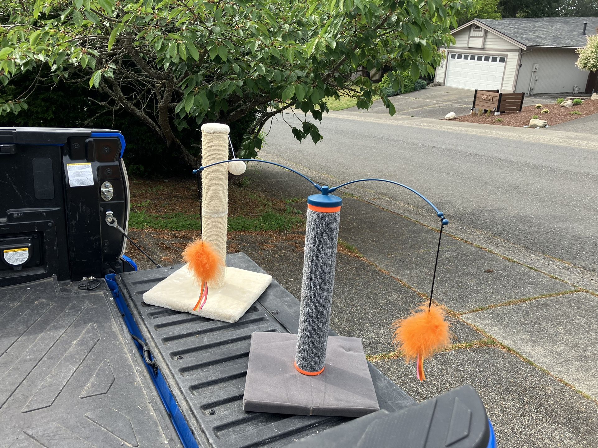 Cat Kitty Scratching Scratch Post Cat Kitty Tree Like New $20 Each
