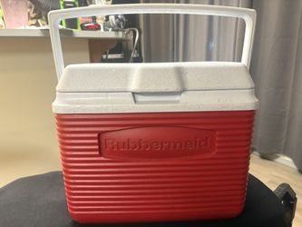 Mini Cooler