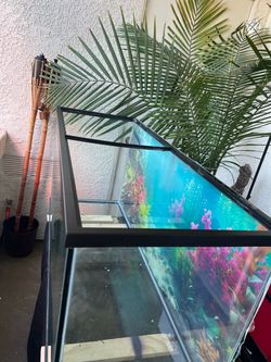 75 gallons  fish tank