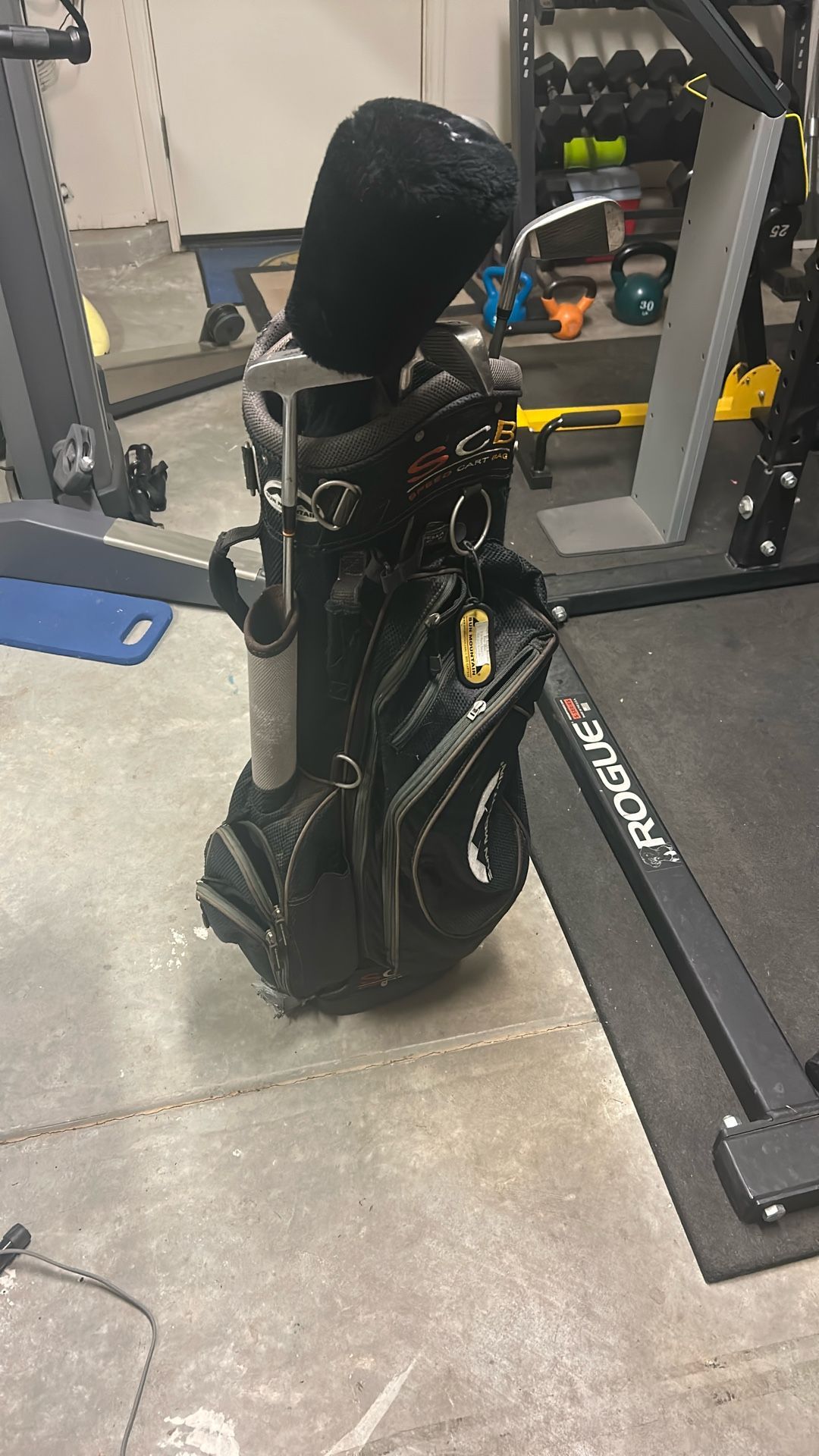 Golf Bag and Club Set