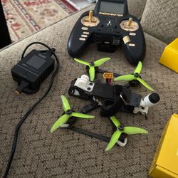 Rotor Riot Custom Drones Radio Master Zorro Gold Gimbals