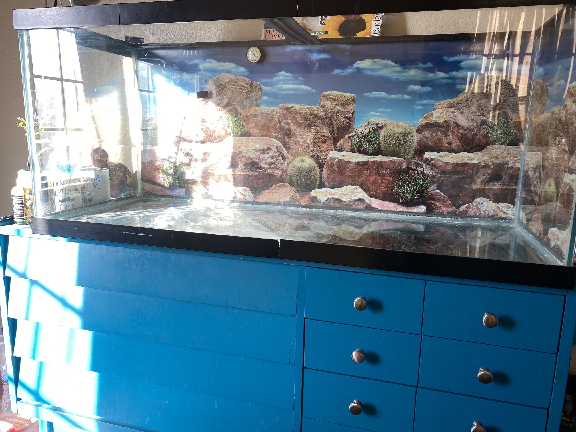 Reptile Tank, Tank, 75 Gal Tank H : Little Over 21 In W : 18 In L : 48 1/2 In