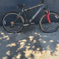 SCHWINN