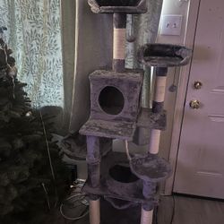 Cat Tree New Never Used 